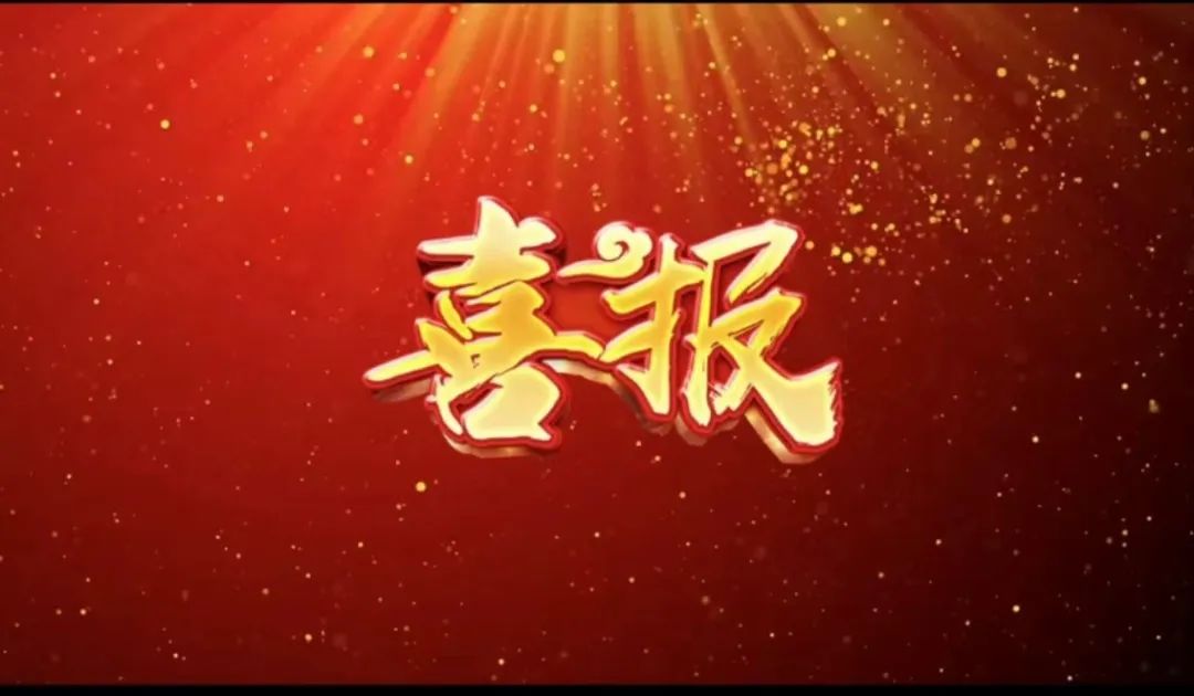 荣誉 | 388vip太阳集团官方网站荣获&ldquo;2023年杜着秀合作同伴奖，共建共享共赢的范例&rdquo;